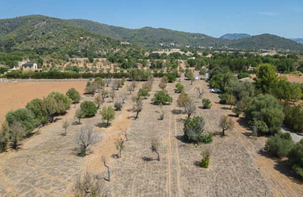 Baugrundstück in der Landschaft von Mallorca Campanet zu verkaufen mit einer gültigen Baulizenz