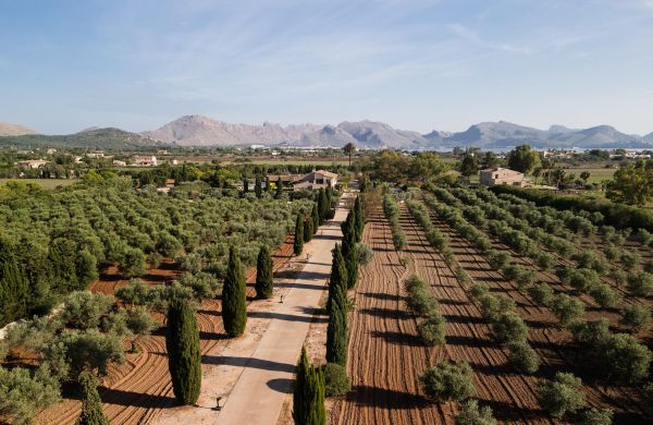Exclusive Private Estate Puerto Pollensa, just a few minutes to the bay