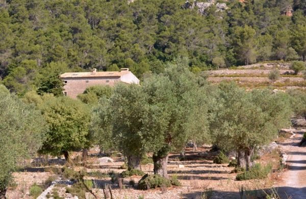 Historisches Anwesen im Tramuntana Gebirge ( Weltkulturerbe) im Norden von Mallorca