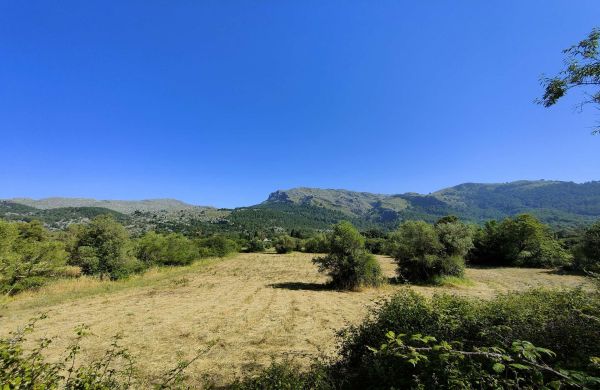 Project for a charming house close to Pollensa surrounded by nature.