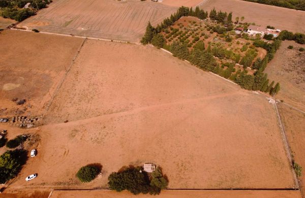 Terreno edificable en venta en Muro, Mallorca