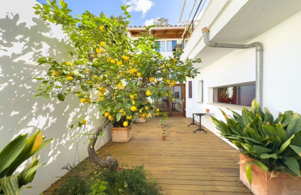 Townhouse with 4 bedrooms and a garage located in the old town of Pollensa for rent.