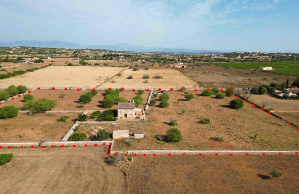 Traditionelles Finca-Projekt auf Mallorca, Maria de la Salut.