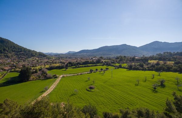 Terreno con vistas panoramicas en venta en Pollensa con licencia de construcción nueva