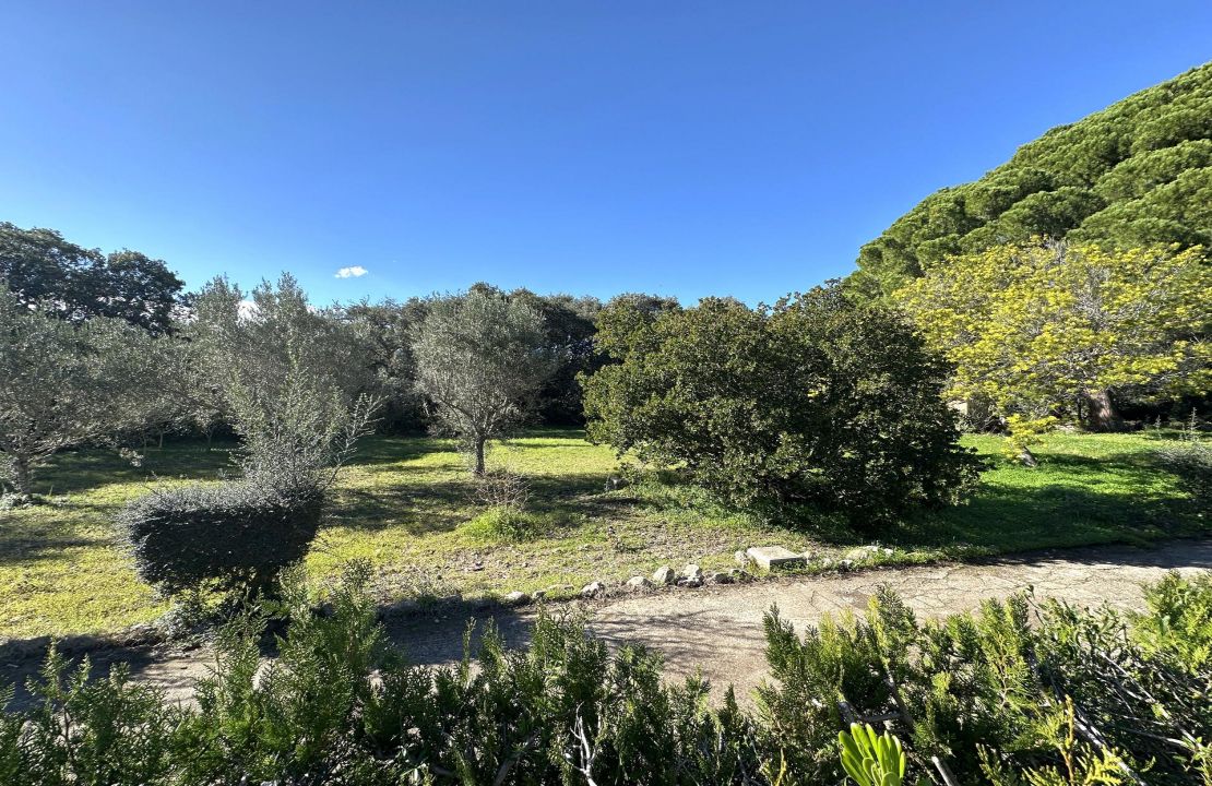 Finca for long term rental in Pollensa with pool and garden