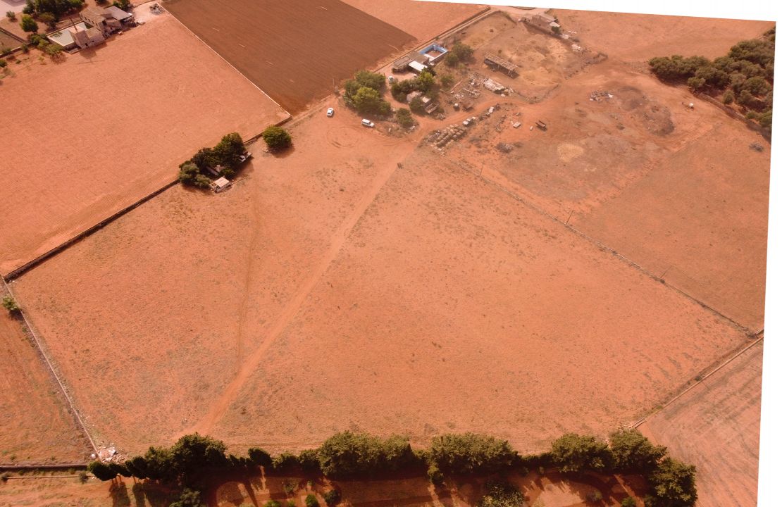 Buildable land for sale in Muro, Mallorca