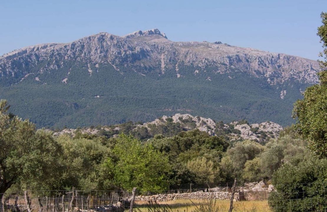 Historisches Anwesen im Tramuntana Gebirge ( Weltkulturerbe) im Norden von Mallorca