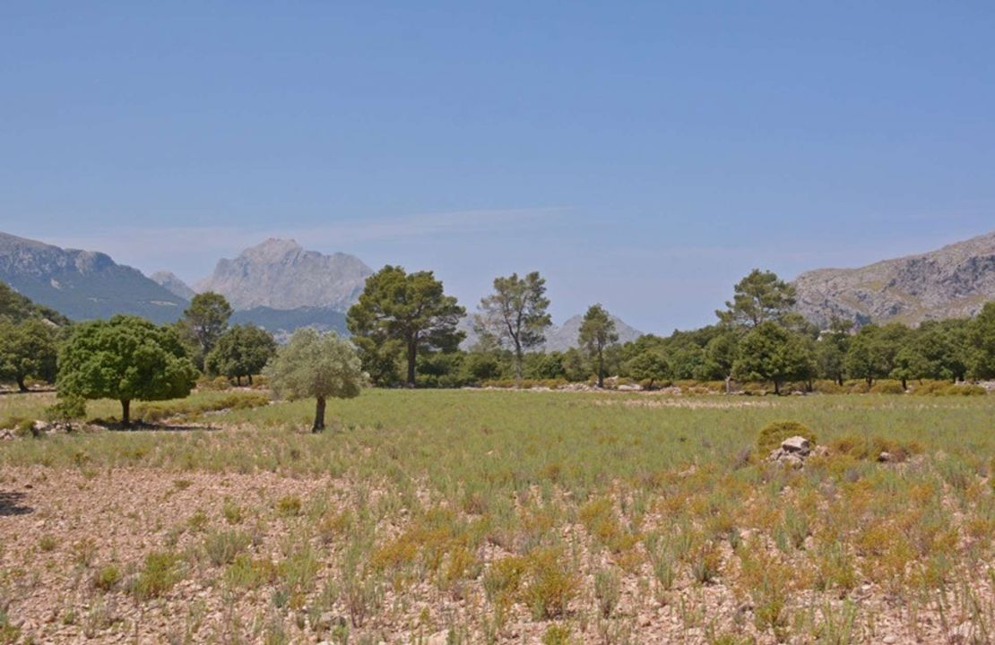 Historisches Anwesen im Tramuntana Gebirge ( Weltkulturerbe) im Norden von Mallorca
