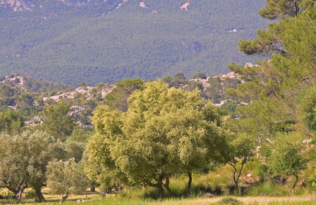 Historisches Anwesen im Tramuntana Gebirge ( Weltkulturerbe) im Norden von Mallorca