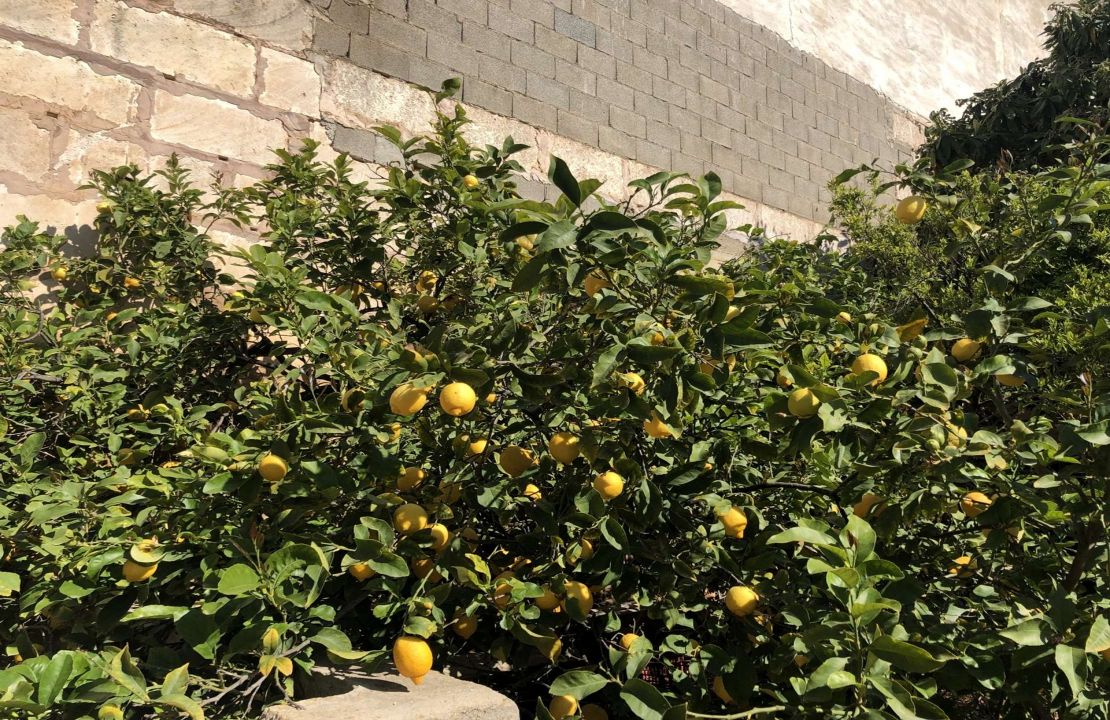 Solar urbano en venta en Sa Pobla Mallorca