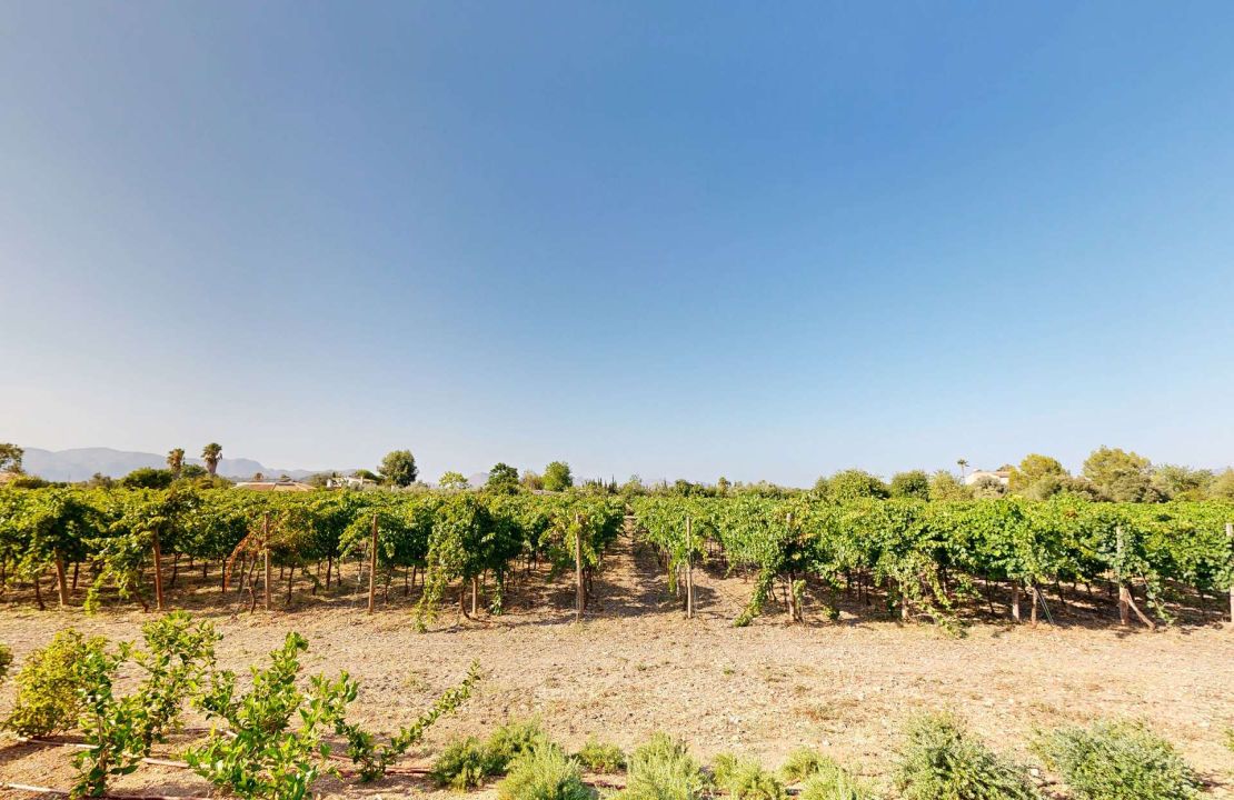 Impresionante finca de nueva construcción con viñedo en venta en Alcudia