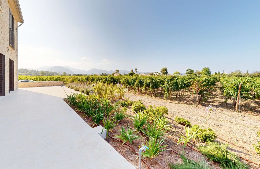 Impresionante finca de nueva construcción con viñedo en venta en Alcudia