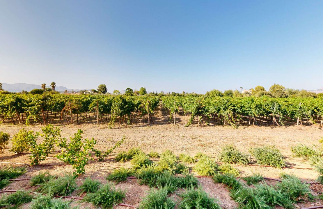 Impresionante finca de nueva construcción con viñedo en venta en Alcudia