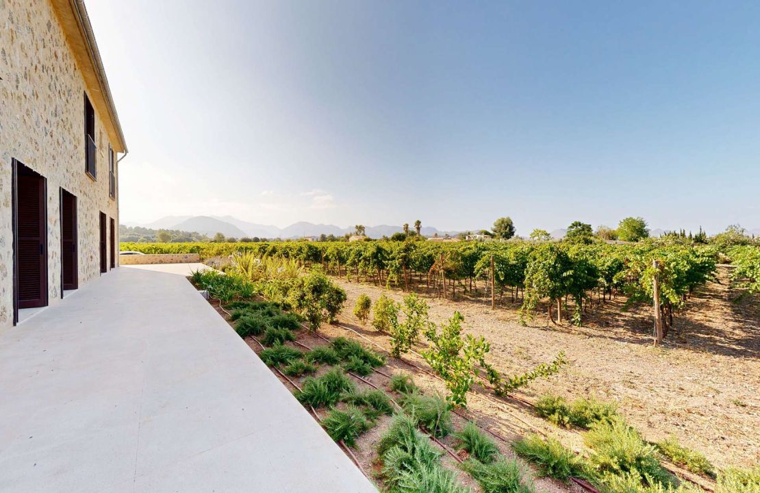 Impresionante finca de nueva construcción con viñedo en venta en Alcudia