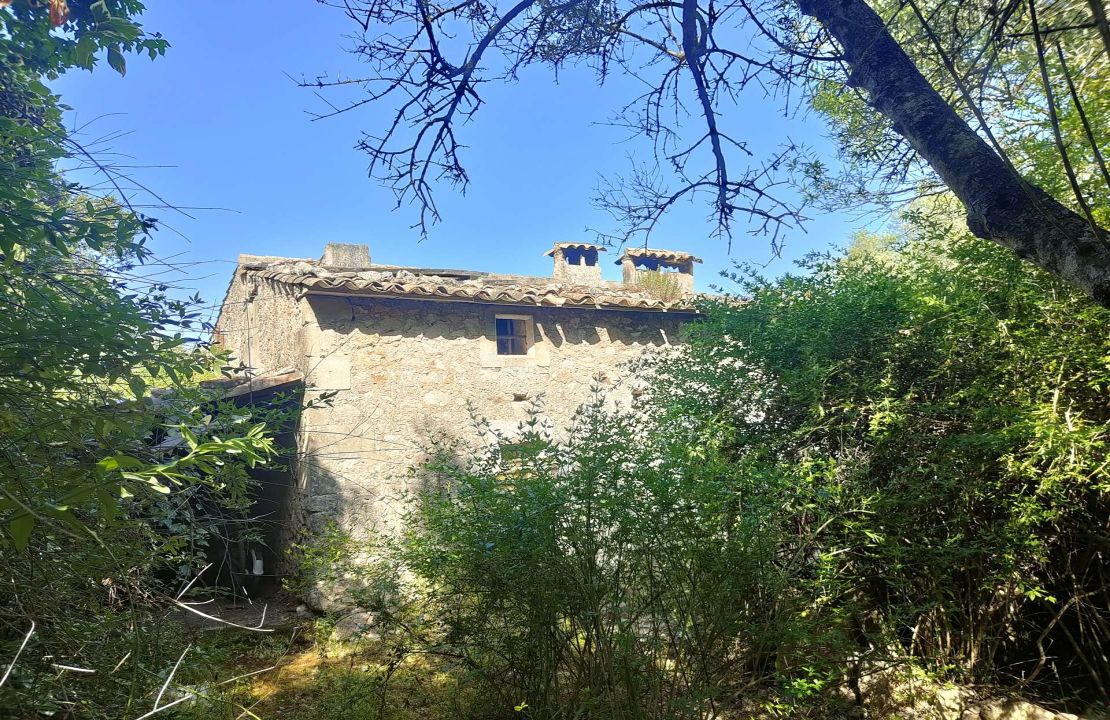 Project for a charming house close to Pollensa surrounded by nature.