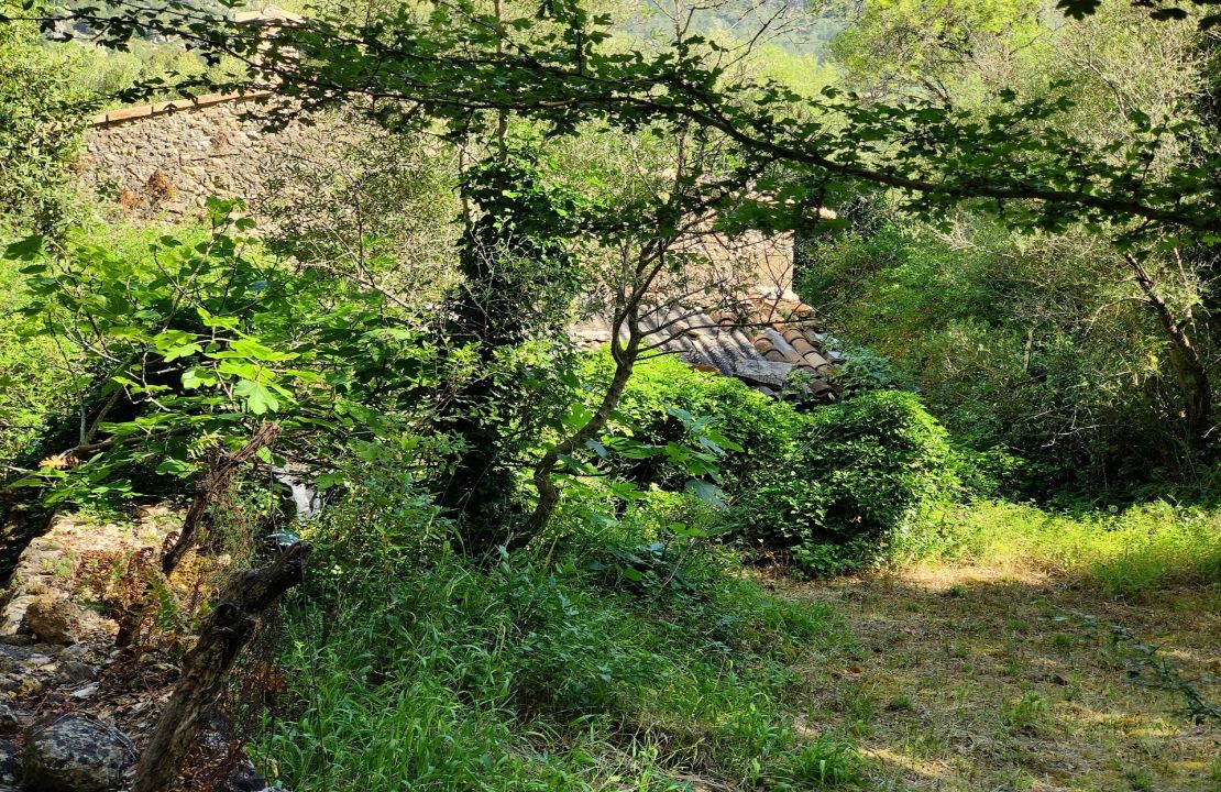 Project for a charming house close to Pollensa surrounded by nature.