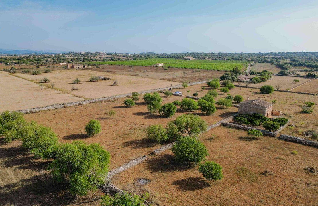 Traditional style finca for sale - fantastic opportunity to create your dream home!