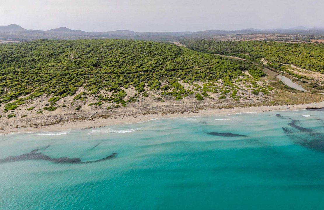 House in Son Serra de Marina, sea views and holiday rental license.