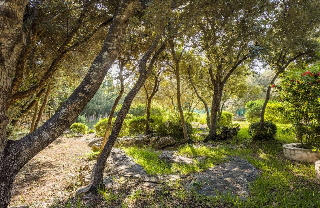 Finca in Pollenca North Mallorca with holiday rental license for sale