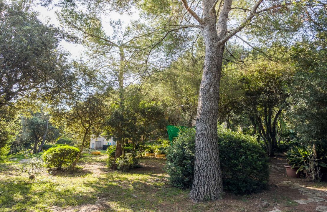 Finca in Pollenca North Mallorca with holiday rental license for sale