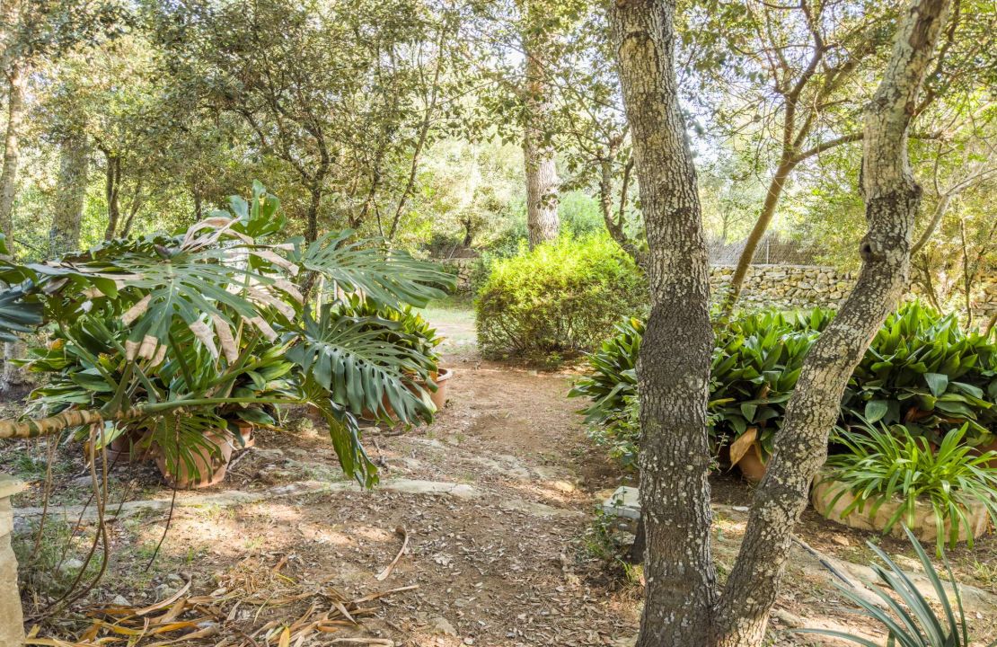 Finca in Pollenca North Mallorca with holiday rental license for sale