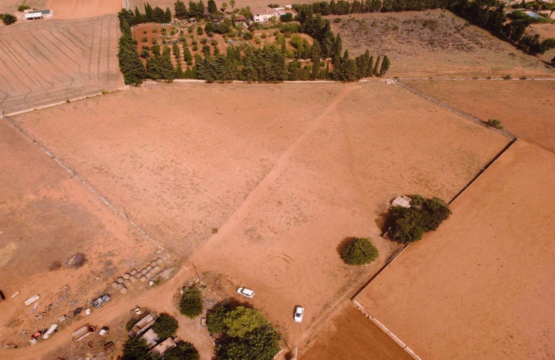 Terreno edificable en venta en Muro, Mallorca