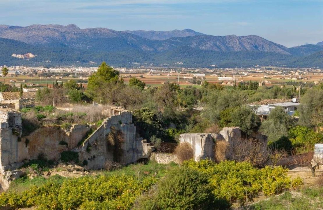 Terreno edificable en venta en Muro, Mallorca