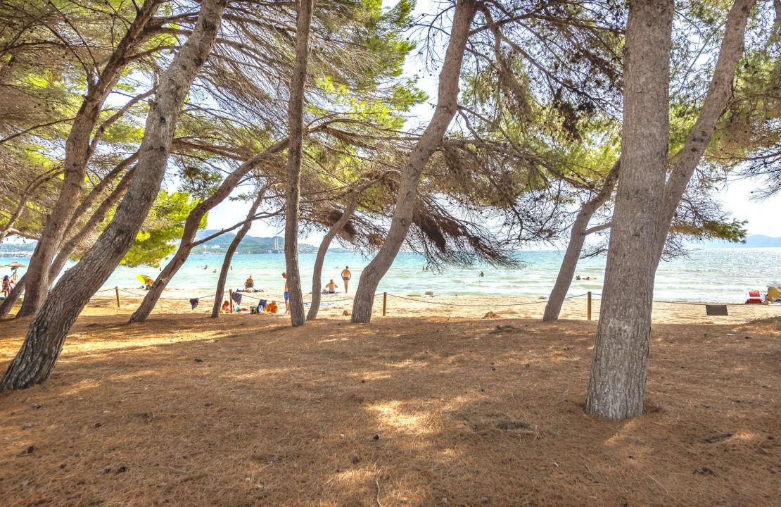 Villa zum Verkauf direkt am Strand von Alcudia mit Lizenz zur Ferienvermietung