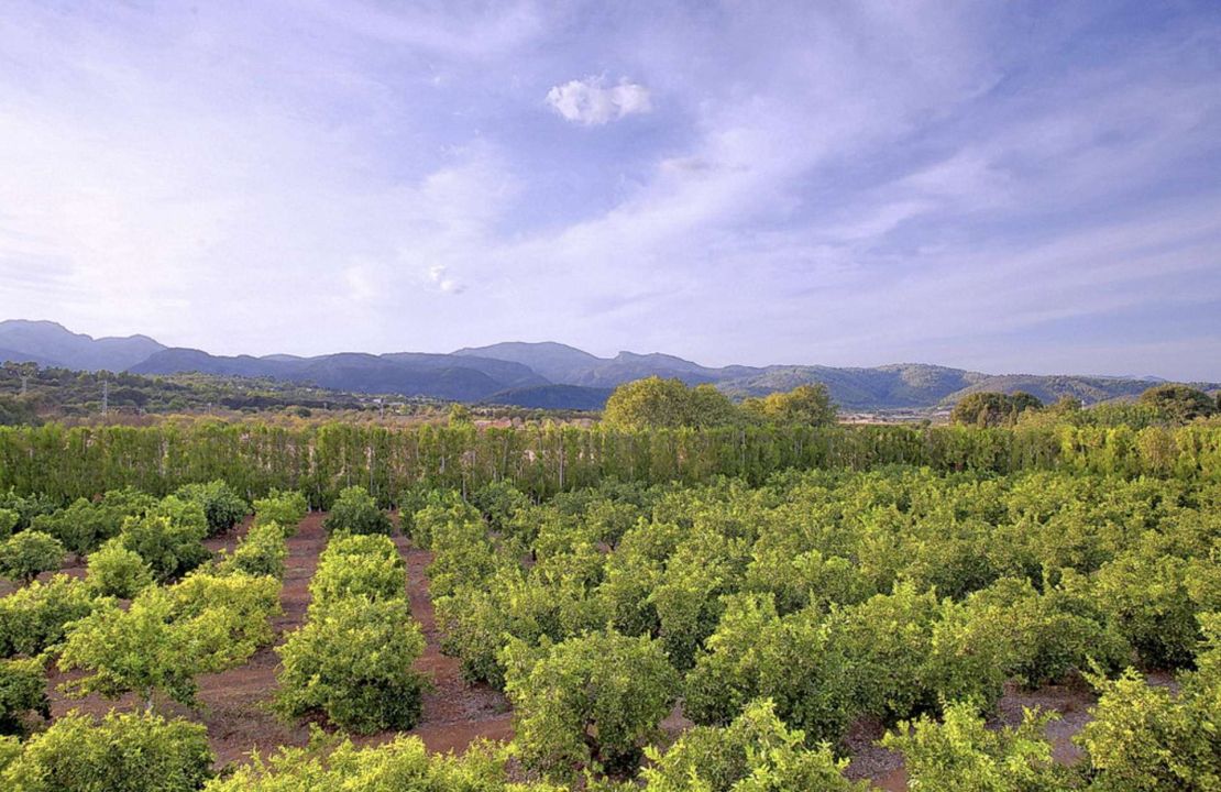 Finca de lujo en venta cerca de Buger con licencia de alquiler vacacional