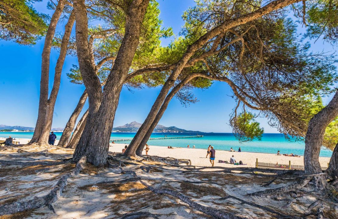 Fantastische Finca in der Nähe von Alcúdia, Mallorca, mit Ferienvermietungslizenz, Pool und Aussicht