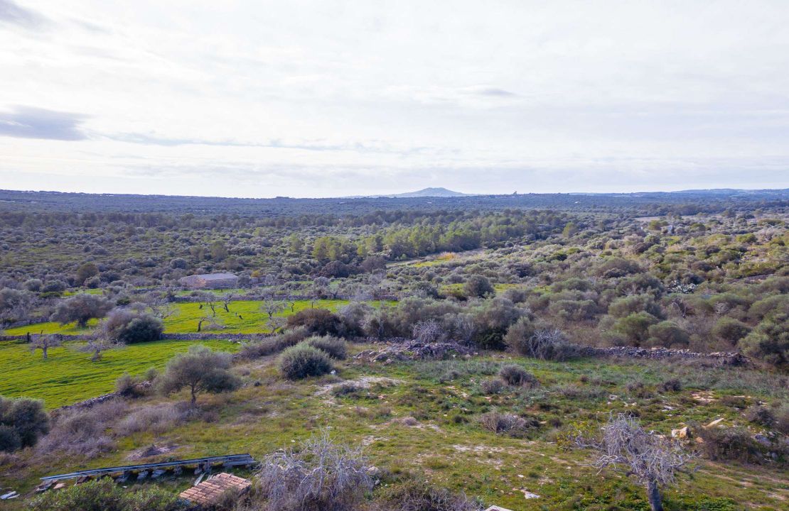 Land for Sale in Santa Margalida, Mallorca