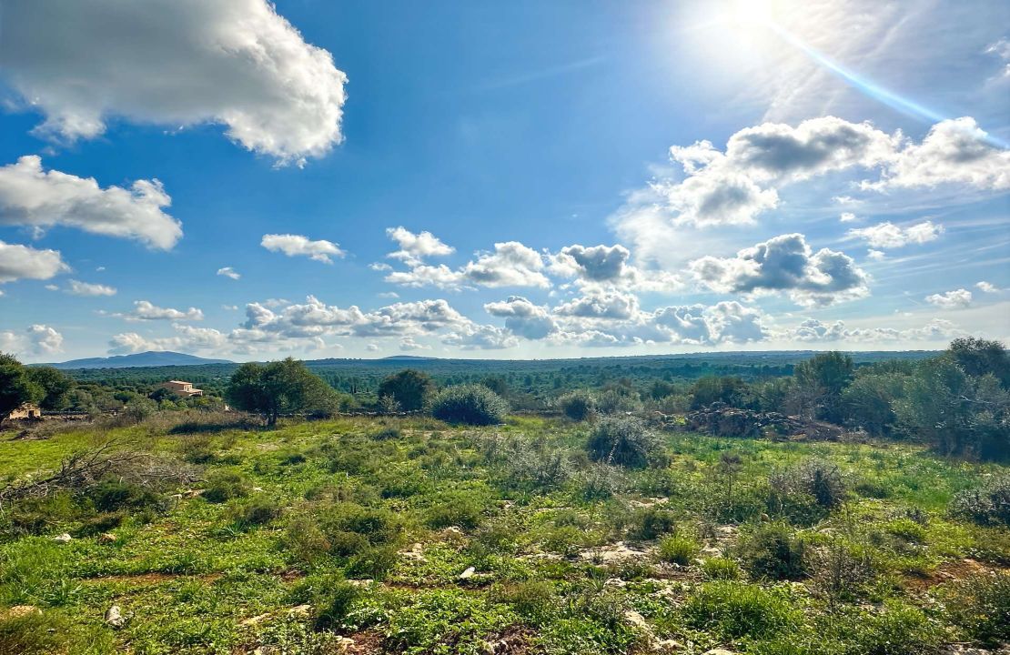 Terreno en venta en Santa Margalida, Mallorca – con proyecto básico