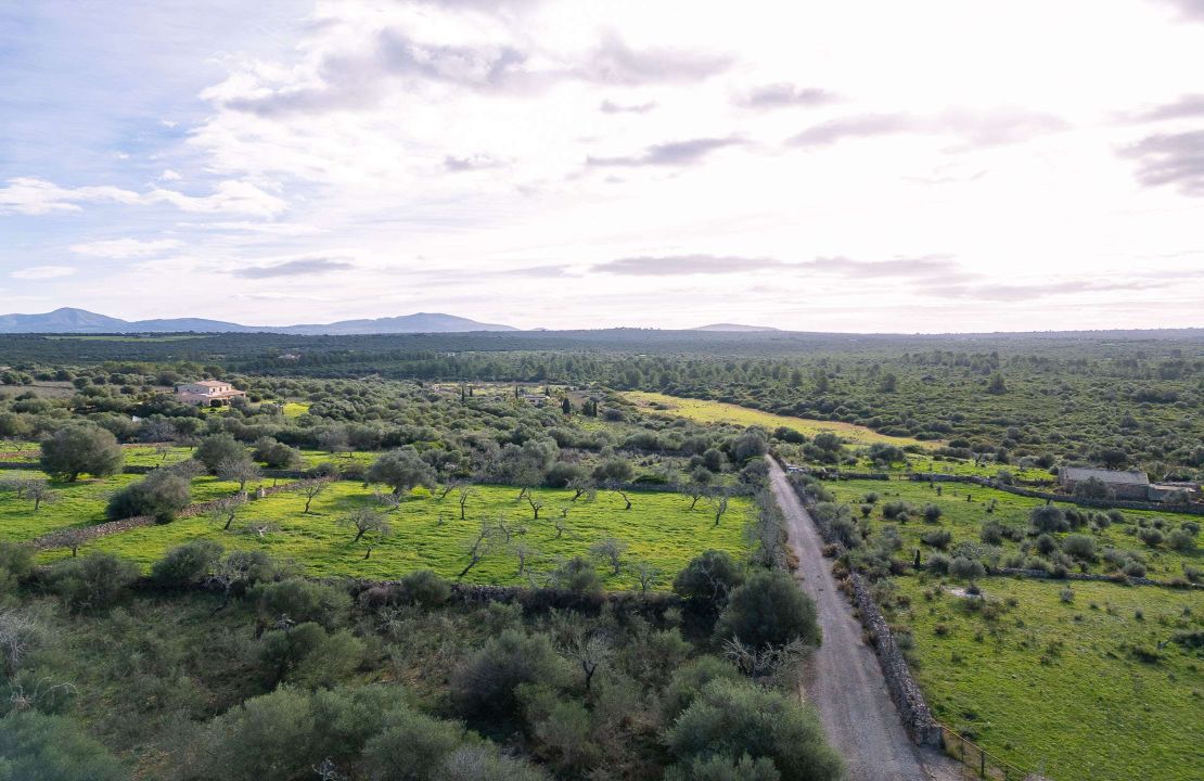 Land for Sale in Santa Margalida, Mallorca