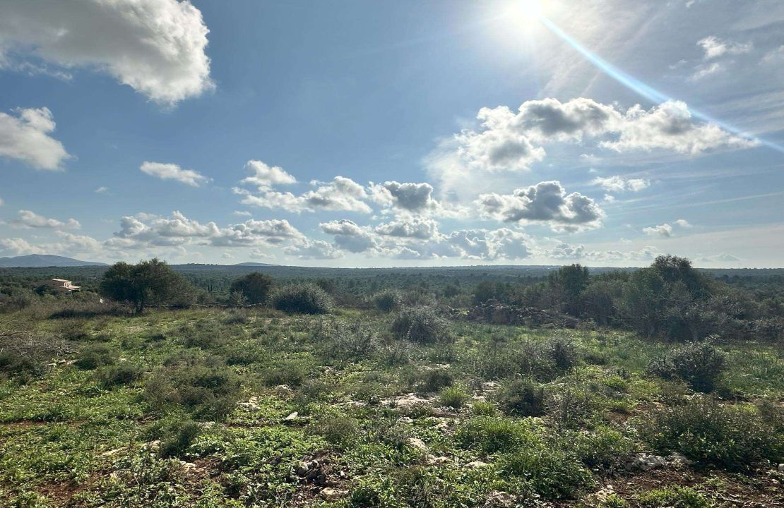 Land for Sale in Santa Margalida, Mallorca
