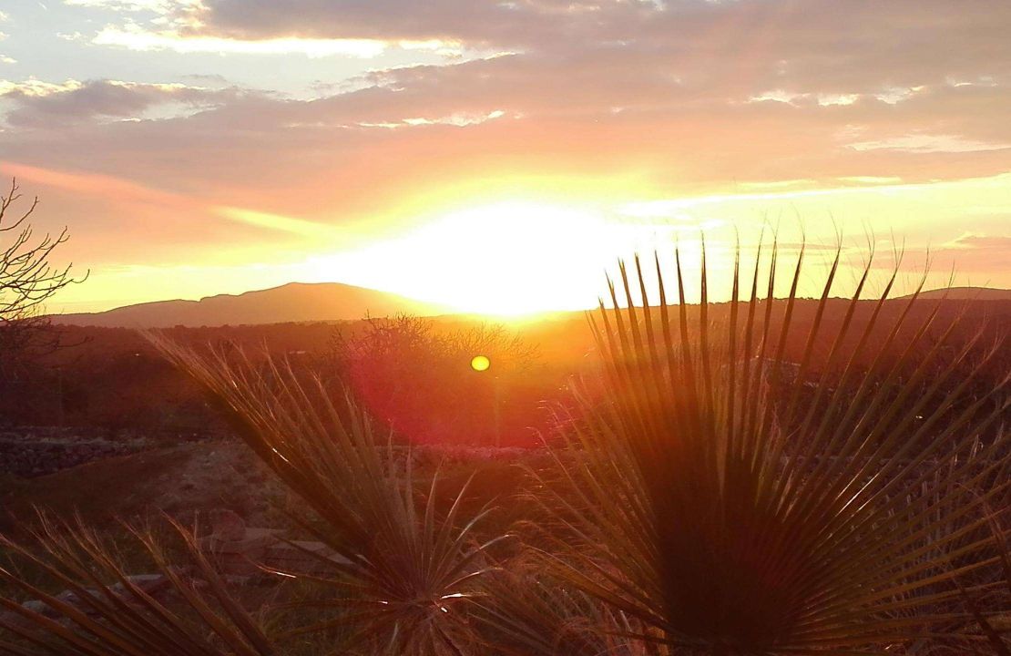 Land for Sale in Santa Margalida, Mallorca