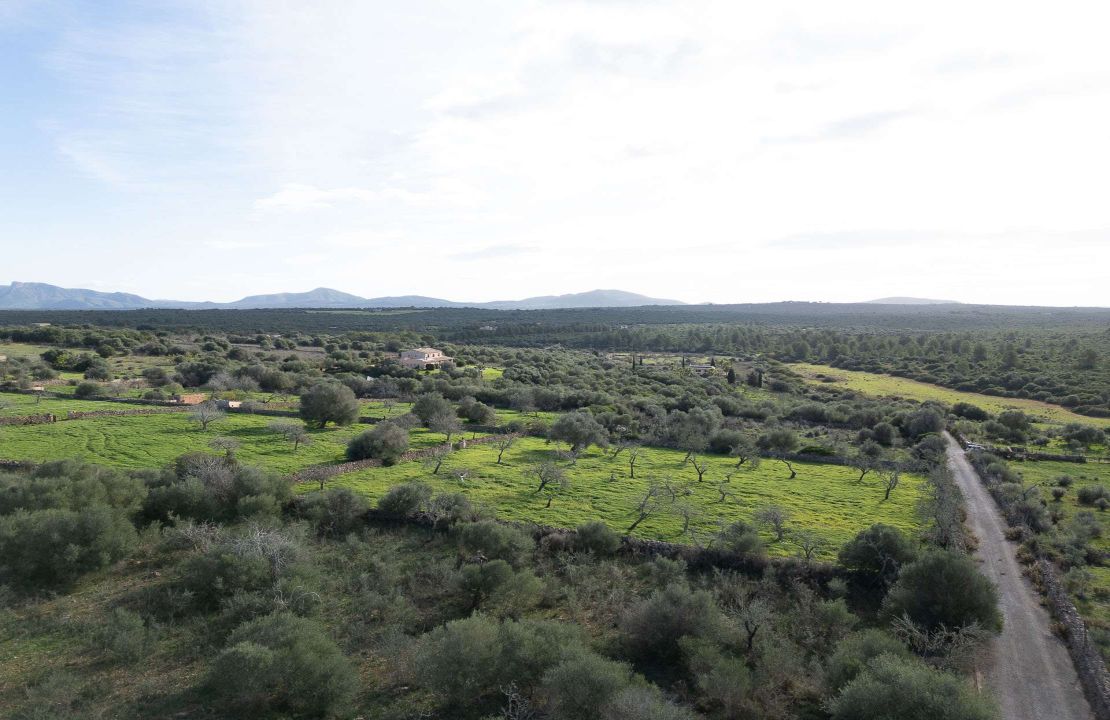 Land for Sale in Santa Margalida, Mallorca