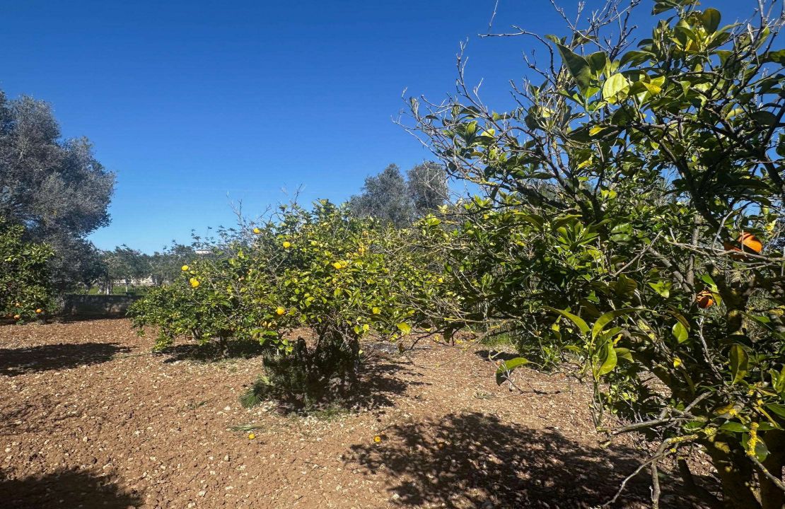Charmante Finca bei Pollensa mit Pool und Brunnen in exzellenter Lage