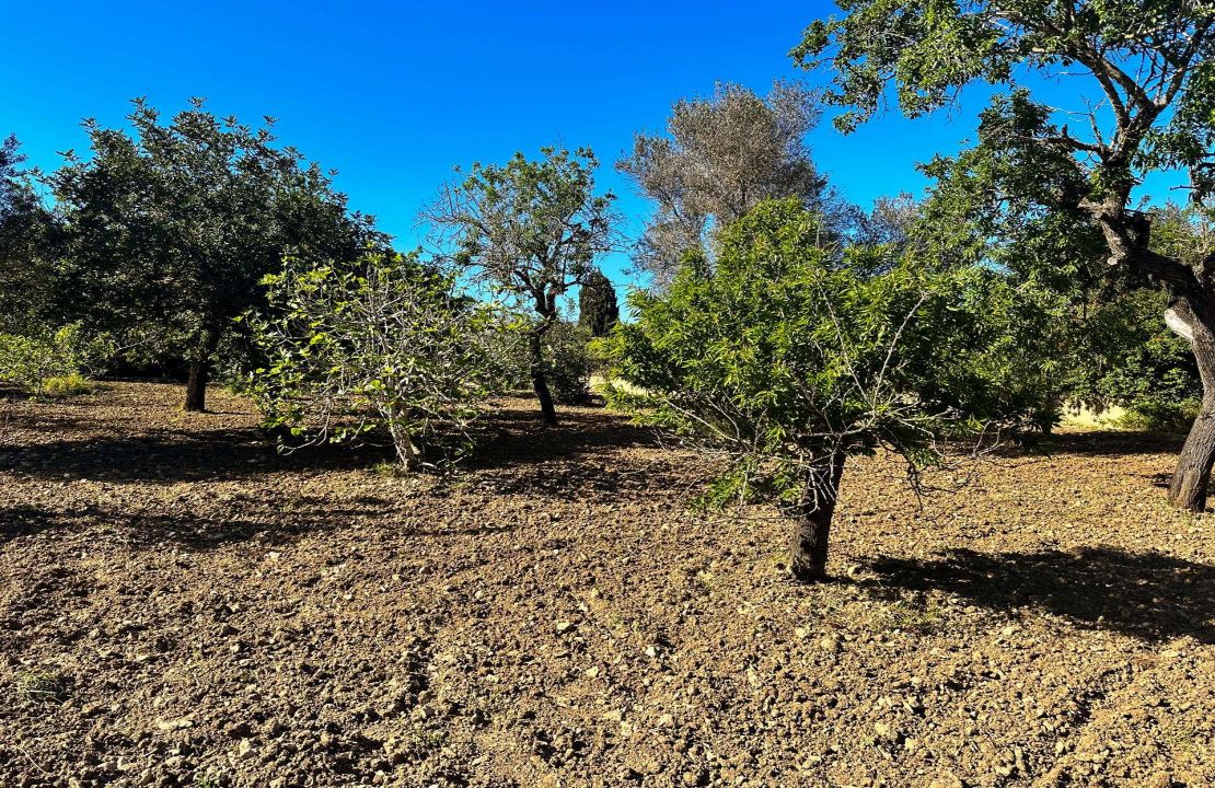 Charmante Finca bei Pollensa mit Pool und Brunnen in exzellenter Lage