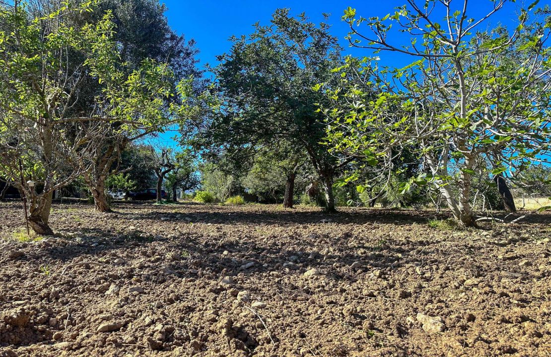Charmante Finca bei Pollensa mit Pool und Brunnen in exzellenter Lage