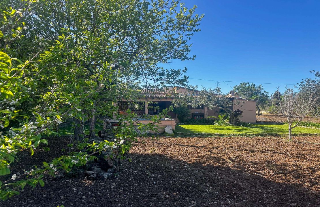 Charmante Finca bei Pollensa mit Pool und Brunnen in exzellenter Lage