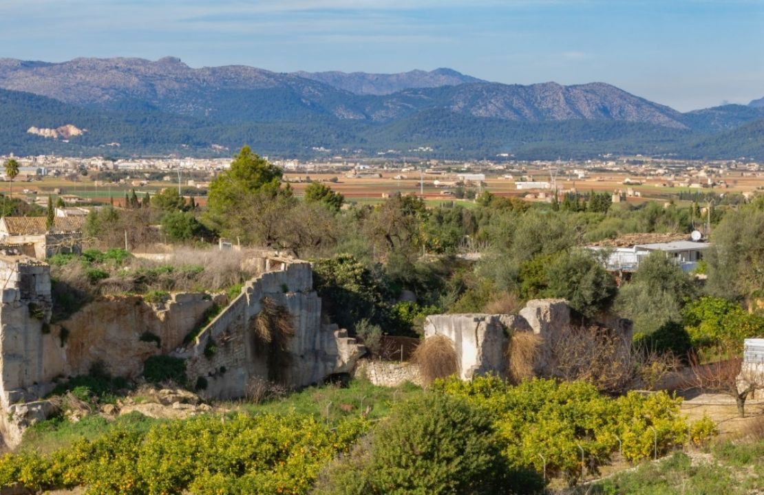 Terreno edificable en venta en Muro, Mallorca