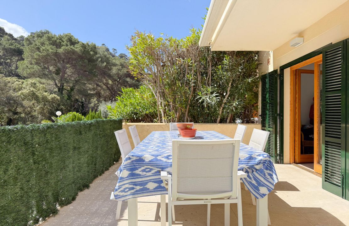 Charming Apartment in Cala San Vicente with pool, close to the Beach