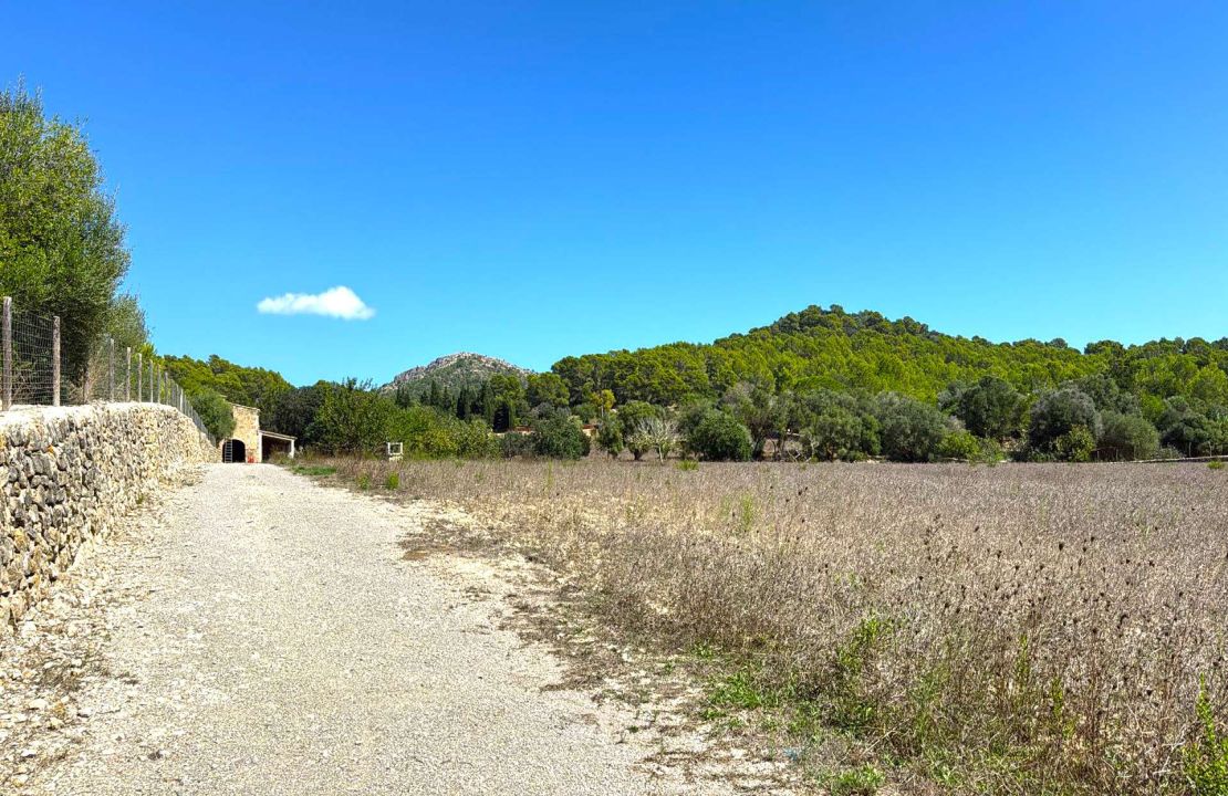 Stunning Finca in Alcudia, Mallorca – With License to Build Your Dream Home