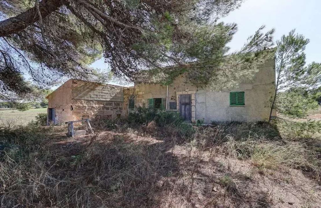 Parcela con proyecto de construcción en venta en Muro cerca de la playa