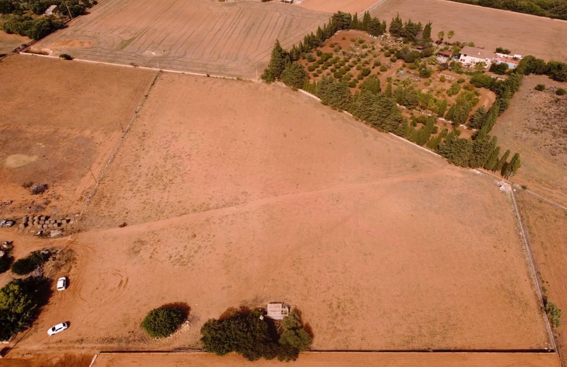 Terreno edificable en venta en Muro, Mallorca