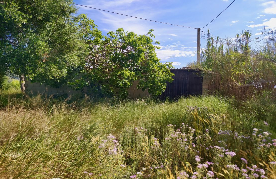 Plot for sale in Campanet