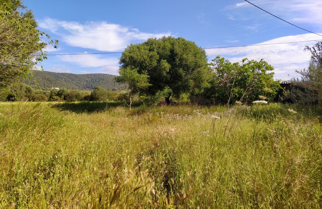 Plot for sale in Campanet