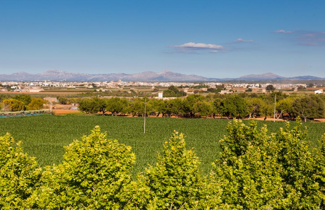 House for sale in Sa Pobla Mallorca with courtyard, terraces and garage