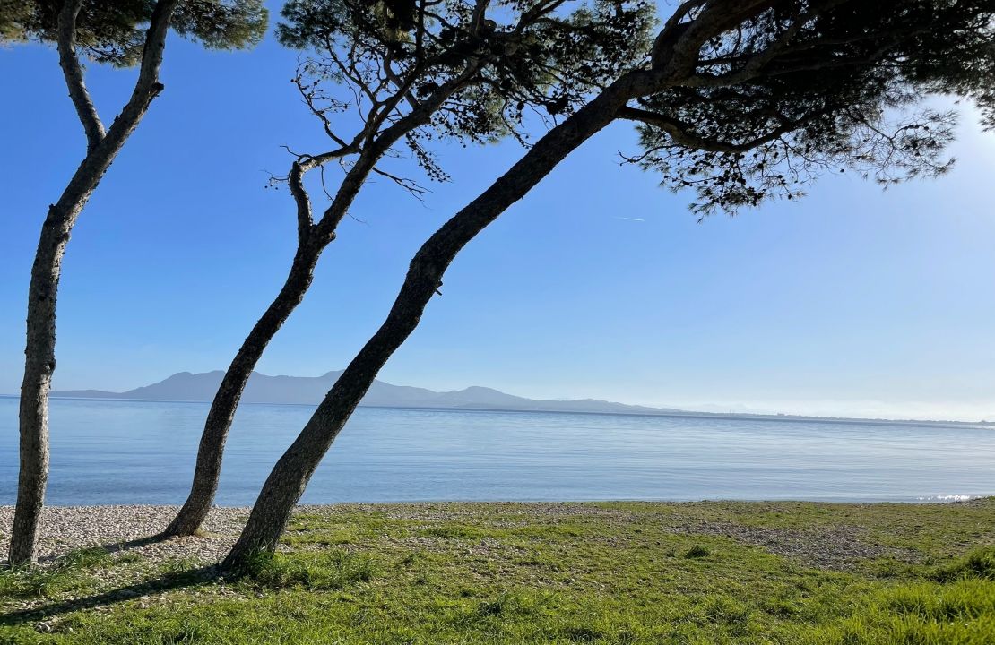 Modern Front Line Apartment for sale in Puerto Pollensa Mallorca
