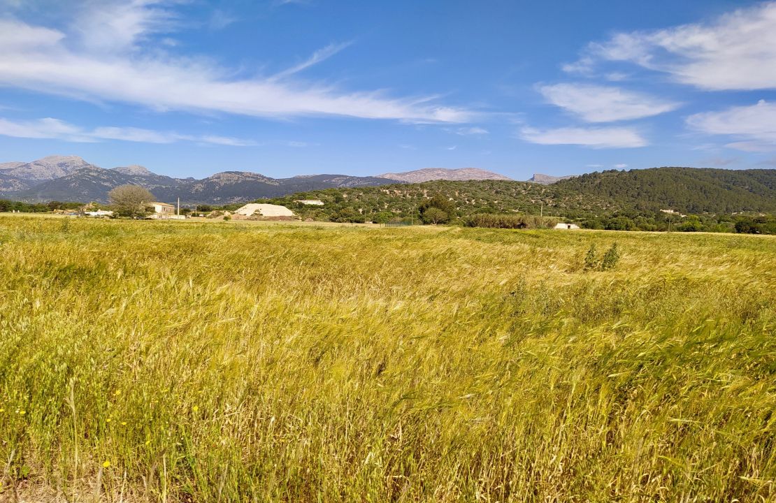 Plot for sale in Campanet